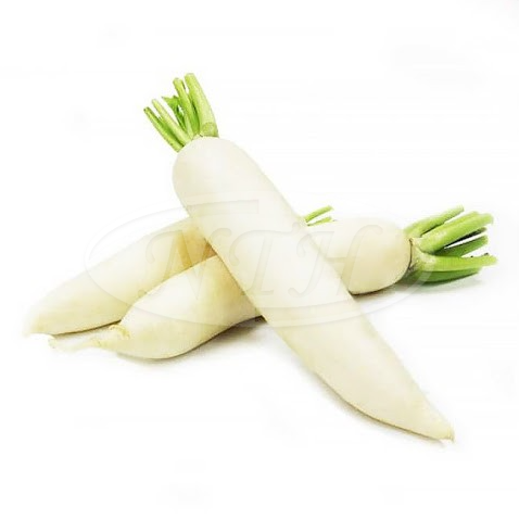 White Radish/ Lobak Putih